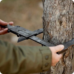 Essential Tree Care Tips...