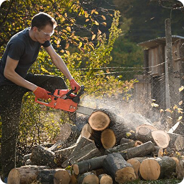 Proper tree trimming removes weak branches, encourages healthy growth, enhances curb appeal, and helps prevent potential hazards during storms...